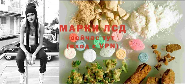 ПСИЛОЦИБИНОВЫЕ ГРИБЫ Вязьма